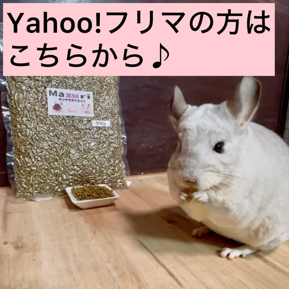Mazuriペレット販売 | 大阪チンチラちゃん