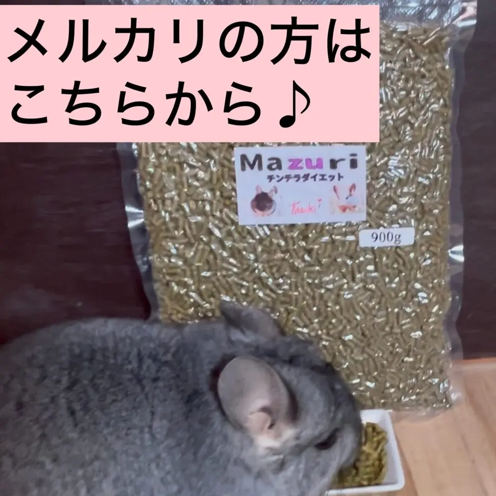 Mazuriペレット販売 | 大阪チンチラちゃん